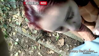 МИСИР ЖАҢЫ НАРЫН КАМПИНАСЕ ЖАНА MAMEI АЛ